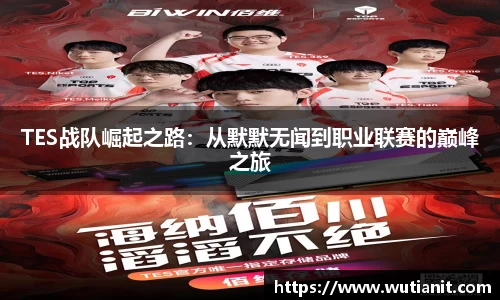 TES战队崛起之路：从默默无闻到职业联赛的巅峰之旅
